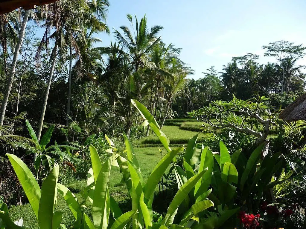 Willa Umajati Retreat Ubud